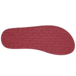 LIZARD SANDAL W'S TRAIL STELLAR BLUE/GLACE BLUE 23 -Camping Equipment Store 9 127300 sandal w s trail stellar blue glace blue 282147 sbgb 06